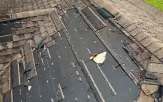 Roofing-Red-Flags-Signs-Indicating-the-Need-for-Complete-Roof-Replacement